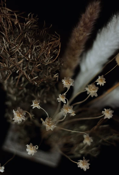 花の写真